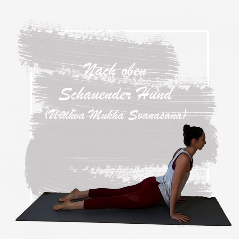 Nach Oben Sch Hund Seite 0