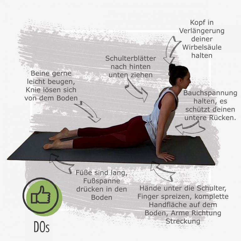 Nach Oben Sch Hund Seite 1