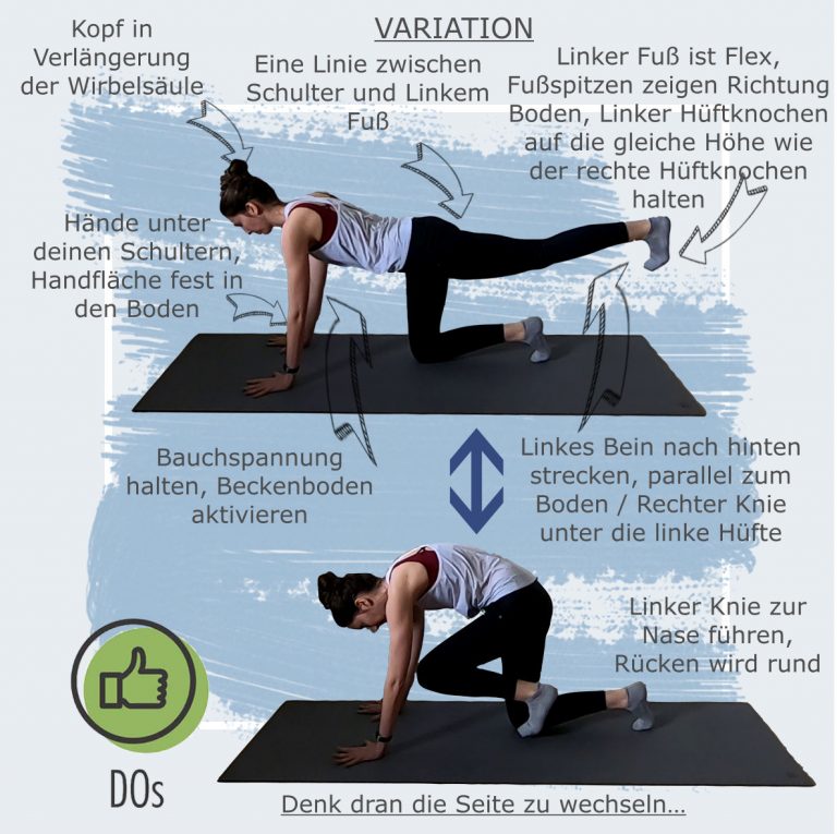 Beitrag Quadruped Seite 2
