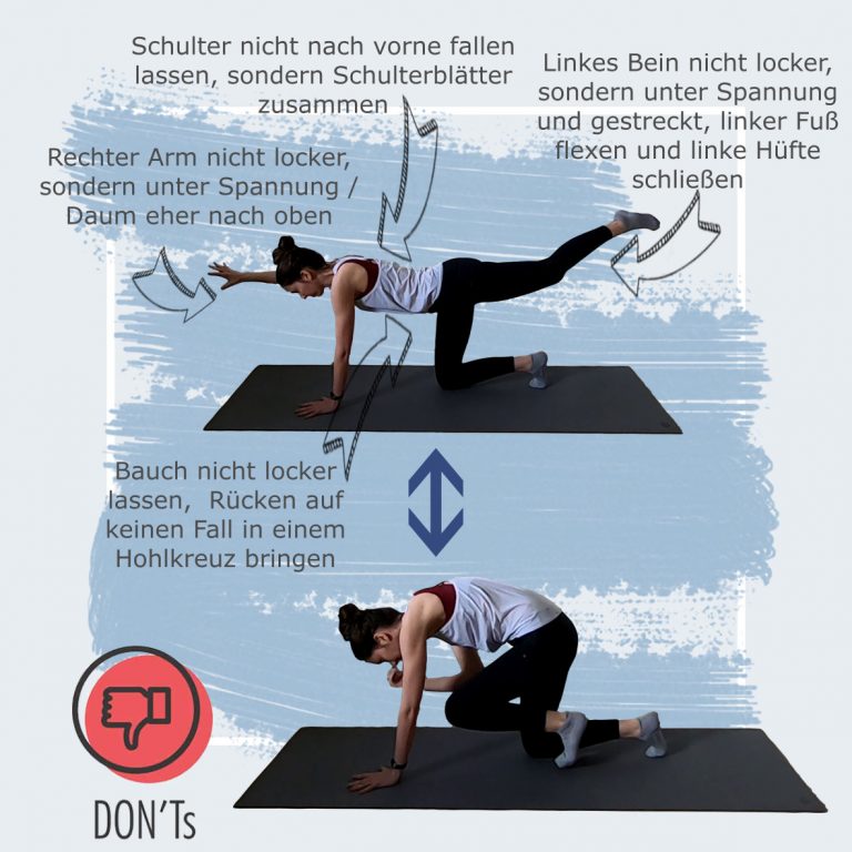 Beitrag Quadruped Seite 3