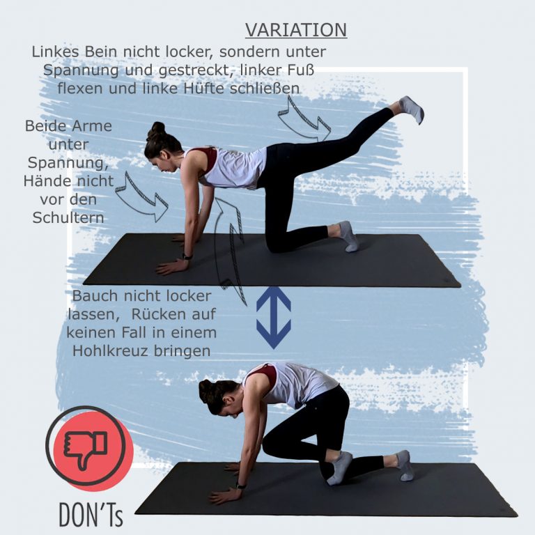 Beitrag Quadruped Seite 4